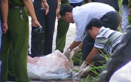 Nghi can 14 tuổi giết người chặt xác ở Đồng Nai