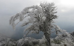 Hà Nội rét 10 độ C, vùng núi miền Bắc có băng giá
