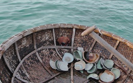 Khai quật khẩn cấp di sản văn hóa dưới biển