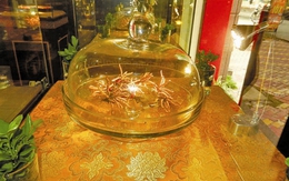 Quà bồi bổ sức khỏe biếu sếp: Tiền tỷ vẫn bán chạy