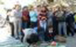 Va chạm giao thông, một Việt kiều bị bắt quỳ lạy