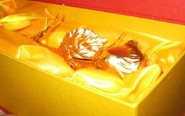 Săn hoa dát vàng tặng nàng dịp lễ tình nhân