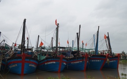 Cứu tàu cá Trung Quốc bị bão đánh trên biển