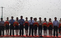 Khánh thành và thông xe tuyến đường tránh thành phố Vinh