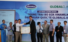 Trang trại bò sữa Vinamik đầu tiên tại Đông Nam Á đạt tiêu chuẩn quốc tế