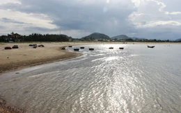 Cửa Lò - Ngày ấy, bây giờ (4)