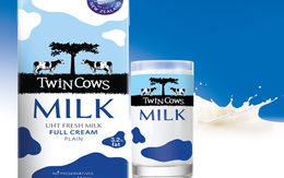 Sữa tươi tiệt trùng Twin Cows của Vinamilk sản xuất ở New Zealand chính thức ra mắt thị trường VN