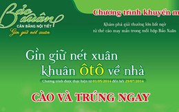 Cơ hội vàng mua Bảo Xuân “gìn giữ nét xuân, khuân ô tô về nhà”