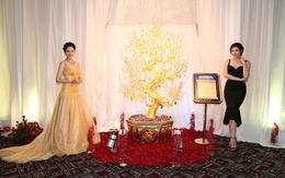 Ấn tượng các bảo vật DOJI & Đêm trình diễn trang sức 