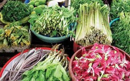 Ký ức rau đồng ngon tuyệt ở miền Tây