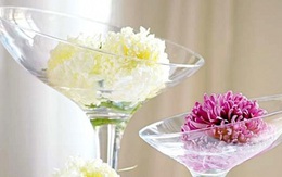 Kỹ năng chọn lựa và bảo quản đồ dùng thủy tinh