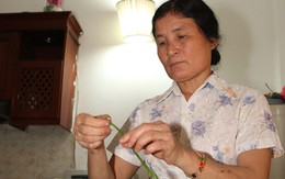 Nghề “ô-sin” liệu có bước ngoặt mới?