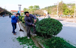 Hướng tới Kỷ niệm 60 năm Chiến thắng Điện Biên Phủ (7/5/1954 - 7/5/2014): Sẽ mời cựu binh, học giả Pháp tham dự
