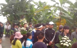 Nhiều uẩn khúc quanh vụ nữ sinh chết vì thuốc diệt cỏ và hàng chục nhát dao trên cơ thể