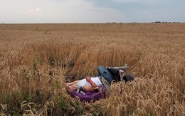 Những bức hình gây ám ảnh kinh hoàng về thảm kịch MH17