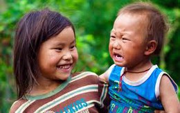 Huyện Kong Chro (Gia Lai): Từng bước cải thiện chất lượng giống nòi