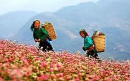 Yên Bái: Tín hiệu vui từ Mù Cang Chải 