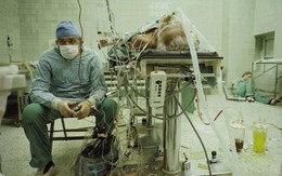 Xúc động lá thư cuối năm của một vị bác sĩ giàu tâm huyết