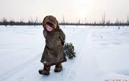 Ngày mai, Bắc Bộ lại chìm trong rét đậm dưới 10 độ, mưa phùn