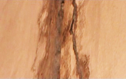 Video: Nứt, thấm nước ở hầm Kim Liên