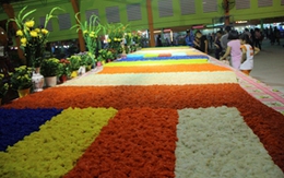 Sững sờ trước 2 lá cờ Phật giáo khổng lồ làm bằng xôi và bánh hỏi 