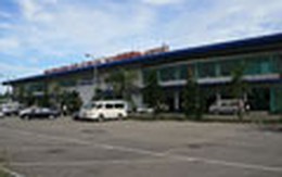 Náo loạn sân bay vì nghi bò tót húc chết người