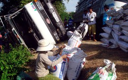 Lật xe chở 20 tấn thức ăn, dân nhào ra hôi của