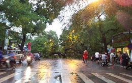 Tâm bão tiến vào Quảng Ninh, Hà Nội ngập nước