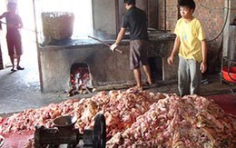 Kinh hoàng “chế” dầu ăn từ dầu thải 