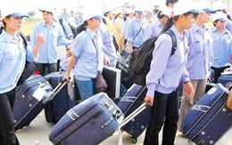 Gần 94% người lao động di cư nước ngoài bị lừa gạt ít nhất một lần