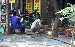 Bát nháo "phun lửa" giữa thủ đô