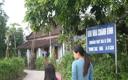 "Mục sở thị" sự tan hoang nhà Bá Kiến