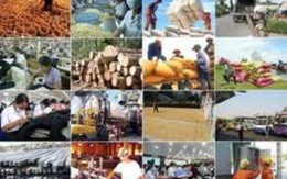 Hàng loạt chính sách quan trọng bắt đầu có hiệu lực từ tháng 11/2012