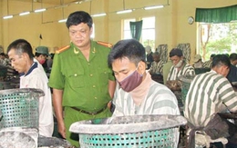 Dịp Quốc khánh 2/9: Thực hiện giảm án, tha tù trước thời hạn cho nhiều phạm nhân 