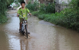 Người chết vì mưa, nhà ngập vì nhà máy