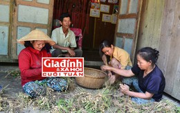 Triết lý sống của gia đình ngư phủ bất chấp “lời nguyền”, 4 đời dựng lều ven sông cứu người đuối nước