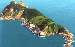 Đảo rắn Brazil: Nơi kinh hoàng nhất thế giới