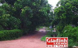 Tình cảnh oan nghiệt của người phụ nữ sống sót sau khi ôm con tự thiêu để trả thù chồng