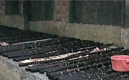 Thịt lúc nhúc giòi, ngâm thuốc trừ sâu trong nhà máy TQ