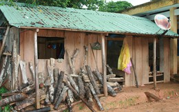 Người mẹ gián tiếp gây thảm án vì không biết chồng cũ hay chồng mới là cha đẻ của con mình