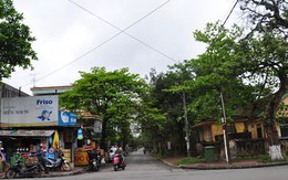 Cuộc tình đậm mùi tiền giữa “ông trùm” Năm Cam và “hoa khôi vũ trường” Sài Gòn