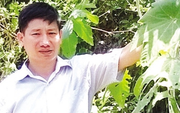 Kỳ lạ thủ thuật đội lá thầu dầu giúp bệnh nhân thoát nỗi ám ảnh bệnh trĩ sau 12 ngày