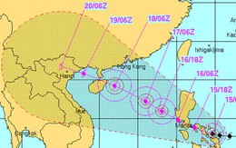 Ngành Y chuẩn bị nhân lực đối phó với bão Rammasun