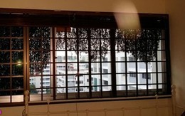 Sốc khi hàng ngàn con ong đậu ngoài cửa sổ