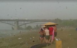 Hoảng loạn vì cơn mưa đá giống như "Ngày tận thế"