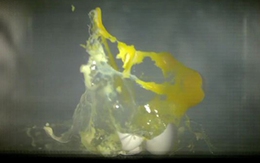 Cận cảnh sự tàn phá kinh hoàng của lò vi sóng 