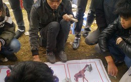 Chướng mắt về chặt chém, cờ bạc, cái bang tại lễ hội chọi trâu Hải Lựu