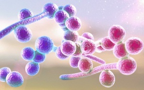 Biểu hiện khi nhiễm nấm Candida