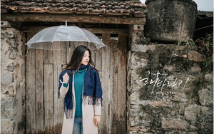 Cây hồng trăm tuổi ở Ninh Bình nhìn như bối cảnh Hàn Quốc thu hút giới trẻ check in