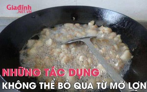 Những công dụng không thể bỏ qua từ mỡ lợn